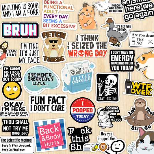 130PCS Funny Anti-Social Sticker Pack - Snarky, Sarcastic Bold Humor Vinyl Waterproof Meme stickers for laptop, computer, water bottle, ipad, phones bumper